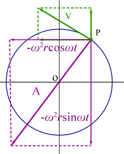 circle - the acceleration vector